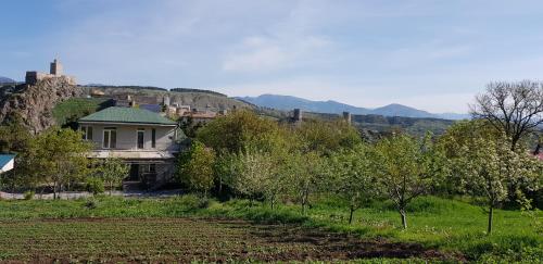 Фотография мини отеля Green House ML