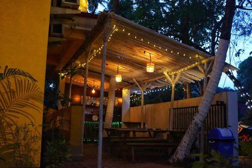 Фотография хостела The Musafir Hostel