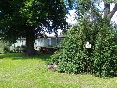 Фотография гостевого дома La María