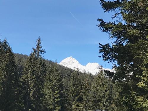 Фотография гостевого дома Chalet Stara Jelka Pokljuka