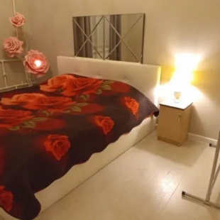 Фотография квартиры Квартира на Крестовой улице 27 Золотой ключик