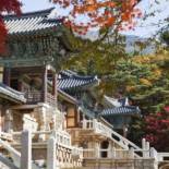 Фотография гостевого дома Bellus-Rose Pension Gyeongju