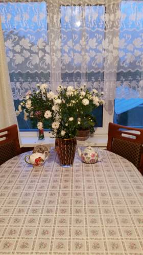 Фотографии гостевого дома
Себеж