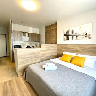 Фотография квартиры Апартаменты 4 Pant House Троицк на Городской