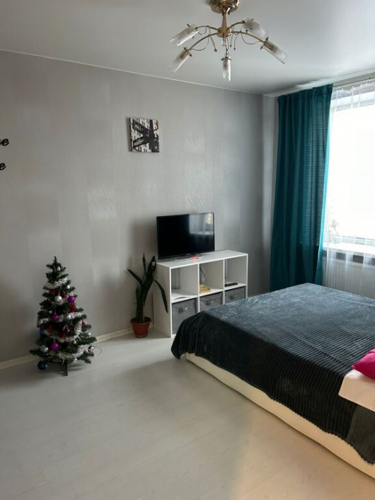 Фотографии квартиры 
            Апартаменты NovayaApart