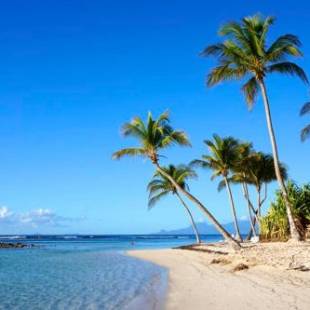 Фотографии гостевого дома 
            La perle créole