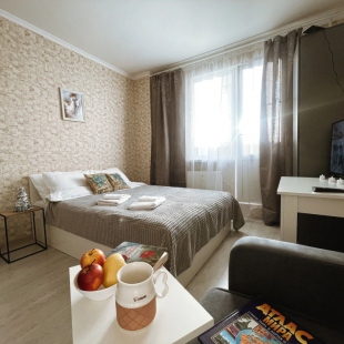 Фотография квартиры Квартира Уютная студия в п.Шушары