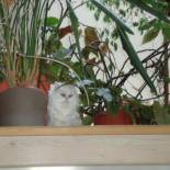 Фотография гостевого дома Chambres d'hôtes Olry