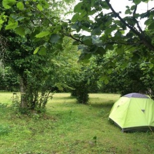 Фотография кемпинга Dumbo