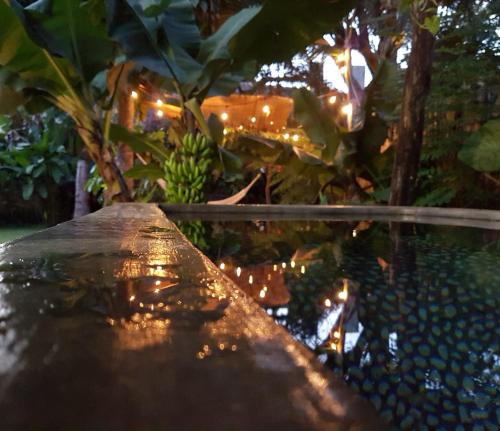 Фотография гостевого дома Casa Bamboo San Pancho