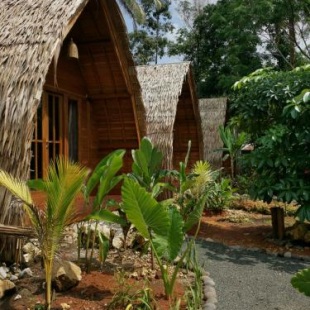 Фотография гостиницы Coconut Tree Cottages