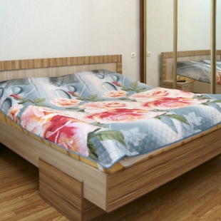 Фотография квартиры Апартаменты №2 на улице 2-я Посадская 4