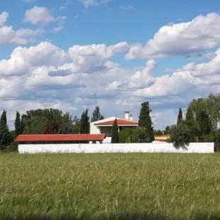 Фотографии гостевого дома
Hearts & Ponies