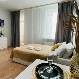 Фотография квартиры Квартира Уютная студия в п.Шушары, Школьная 15