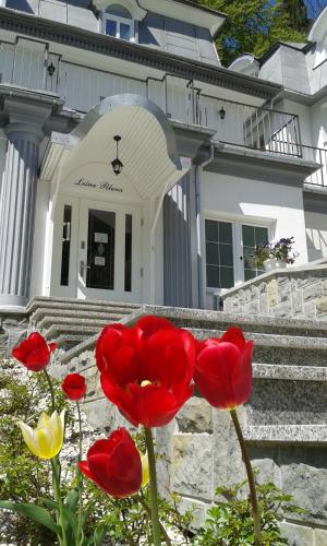 Фотографии гостиницы
Leśna Polana