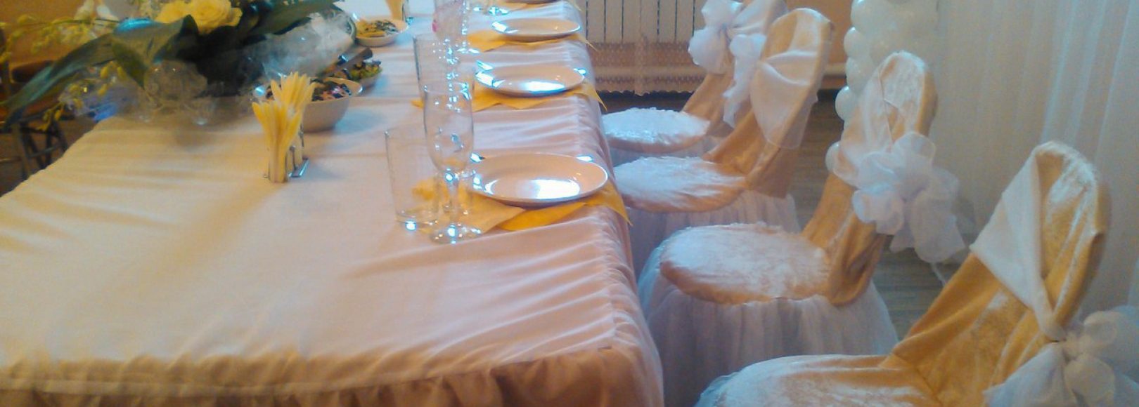 Фотография банкетного зала Каменка