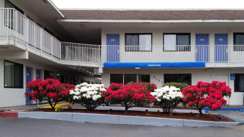 Фотография гостиницы Motel 6-Springfield, OR - Eugene North