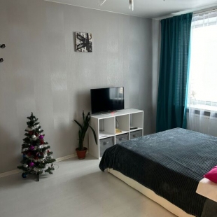 Фотография квартиры Апартаменты NovayaApart