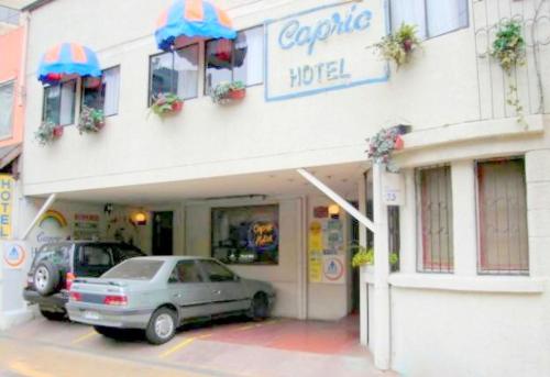 Фотография гостиницы Hotel Capric