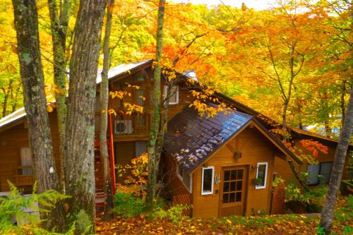 Фотография гостевого дома Pension Buddy