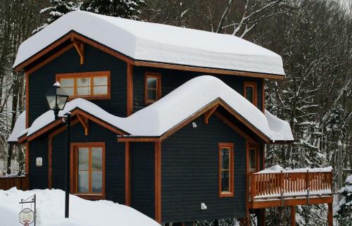 Фотография гостевого дома Chalet- 03 Chemin Alpin