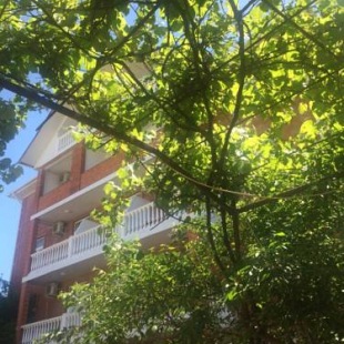 Фотография гостевого дома Ирина