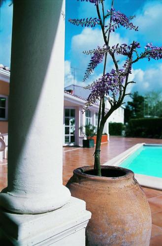 Фотография гостиницы Le Manoir de l'Antiquite