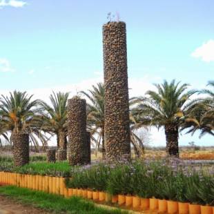 Фотографии мини отеля
Die Olyfhuis