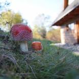 Фотография гостевого дома Chata Vŕšky Terchová