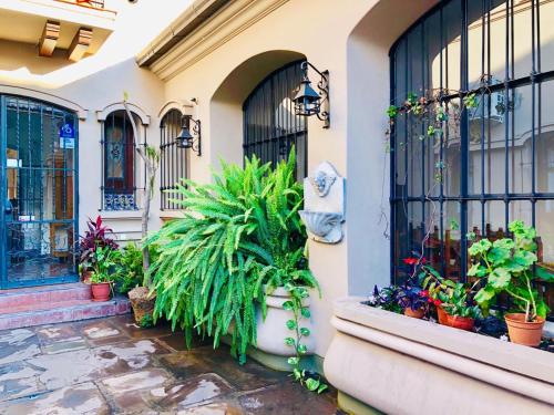 Фотография мини отеля Posta del Ángel - Salta