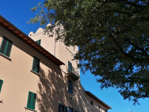 Фотография мини отеля Villa Moris bed and breakfast