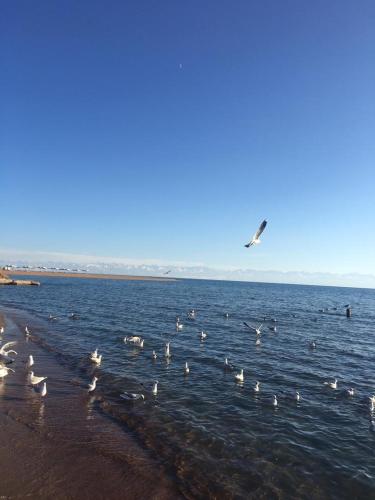 Фотография мини отеля Мини-пансионат Анталия