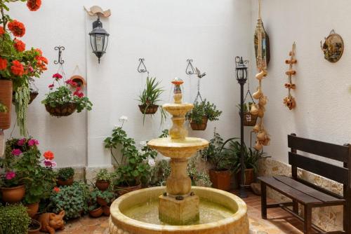 Фотография гостевого дома Tonsuca