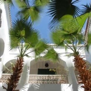 Фотография мини отеля Riad Vert