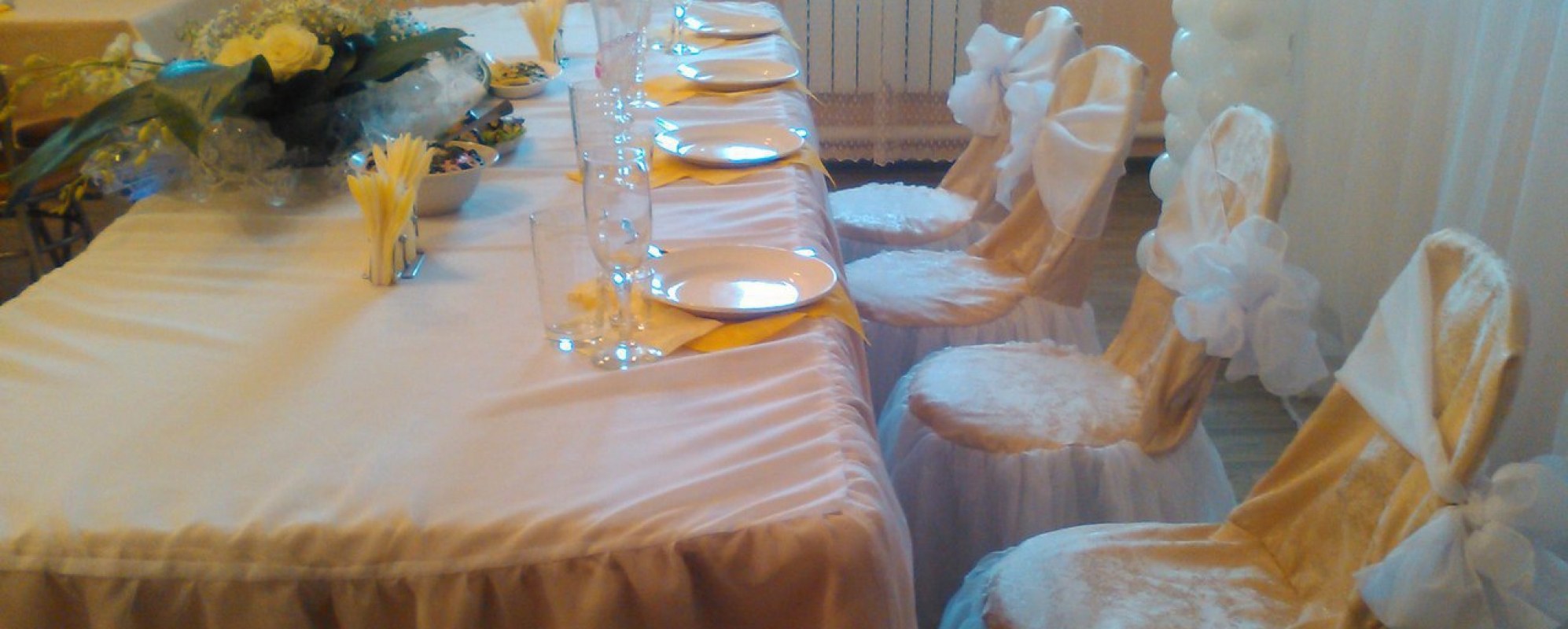 Фотографии банкетного зала Каменка