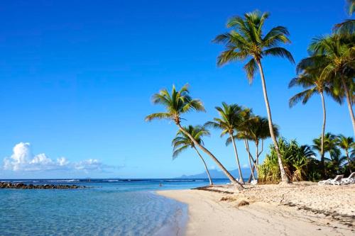 Фотография гостевого дома La perle créole