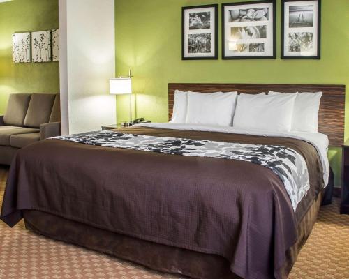 Фотография гостиницы Sleep Inn & Suites Cullman I-65 exit 310