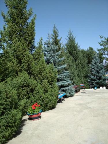 Фотография гостевого дома Tynar