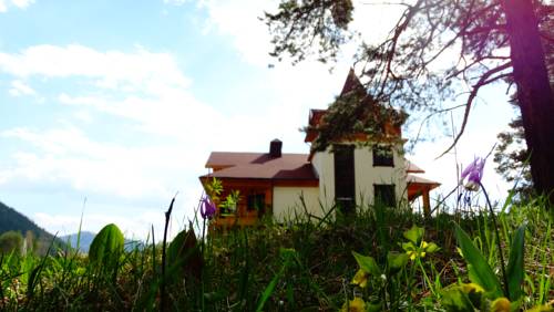 Фотография мини отеля Чыгыш