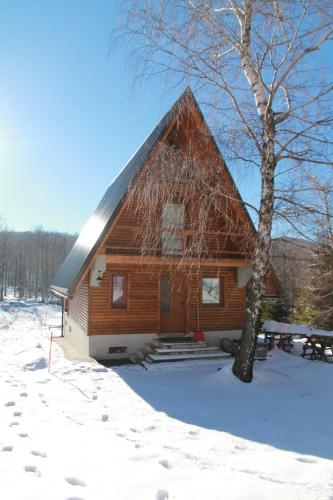 Фотография гостевого дома Holiday Home Edi