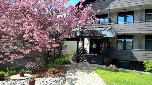 Фотография гостиницы Hotel an der Ilse