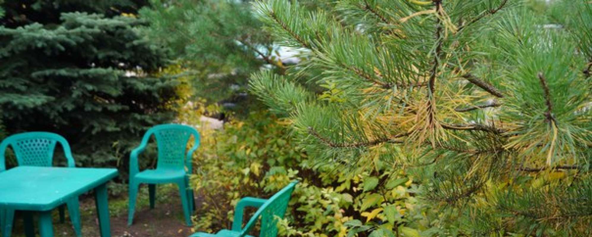 Фотографии гостиницы
Комплекс Русская баня