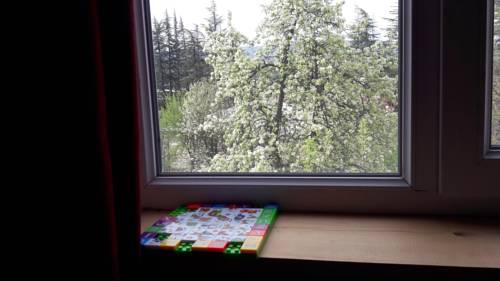 Фотография мини отеля Жио