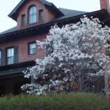 Фотография мини отеля Historic District BnB