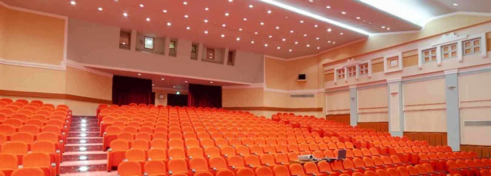 Фотография конференц-зала Большой