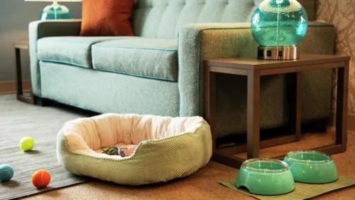 Фотография гостиницы Home2 Suites By Hilton Cumming Atlanta, Ga