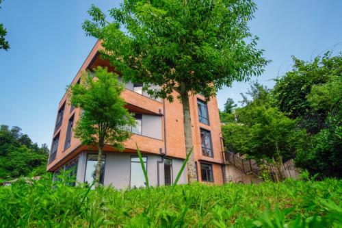 Фотография гостиницы Colline