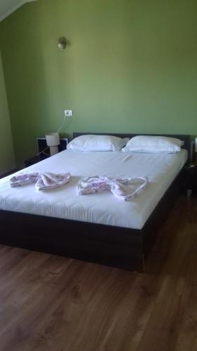 Фотография гостевого дома Pensiunea Turist