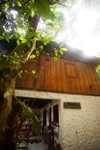 Фотографии мини отеля
Luz En El Cielo Eco-B&B/Hostel