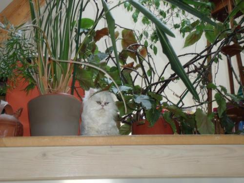 Фотография гостевого дома Chambres d'hôtes Olry